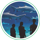 アクアワールド 茨城大洗水族館